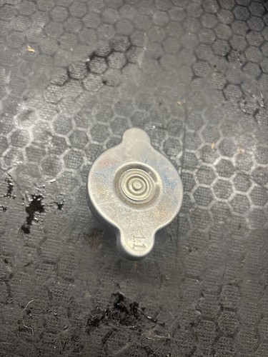 Kawasaki 250 1989 radiator - 1989,
