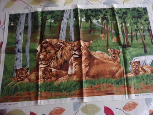 Vintage ulster linen tea towel - ulster,