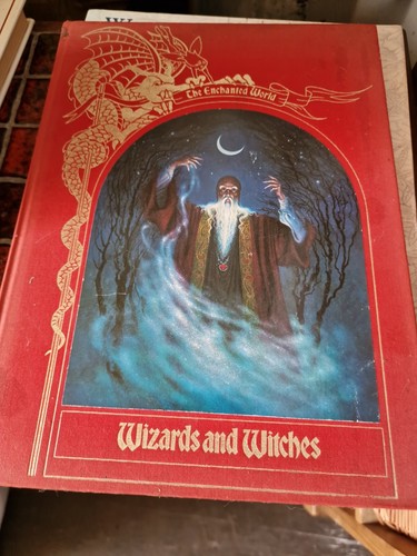 The enchanted world wizards - the,