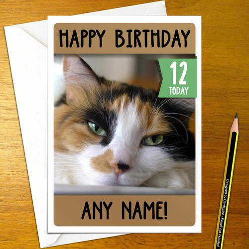 Cute cat personalised - cat,