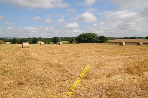 Photo 6x4 field straw - 6x4, bales