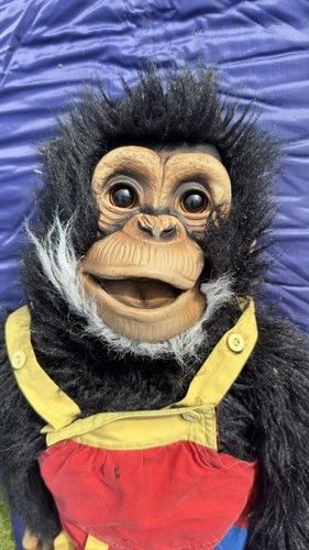 Large black monkey chimpanzee - monkey,