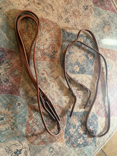 Polo horse long - running, reins
