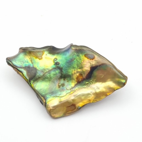 Vintage abalone shell brooch - abalone,