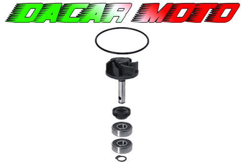 Yamaha water pump revision - yamaha, kit