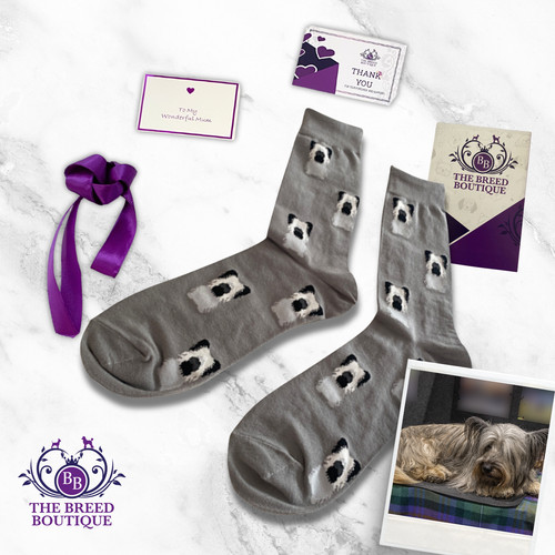 Skye terrier socks unisex - skye,