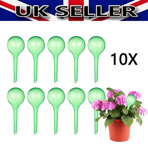 Plant self watering - plant,