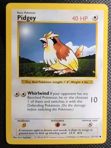 Pokémon tcg pidgey base set - pokémon,