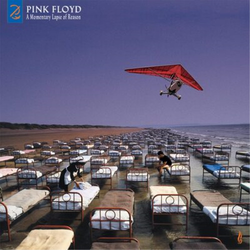 Pink floyd momentary lapse - pink,