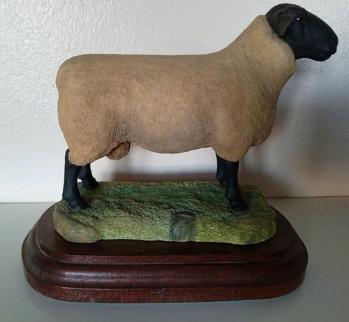 Border fine arts suffolk ram - border,