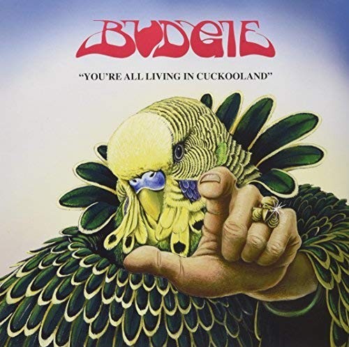 Budgie you all - you're,