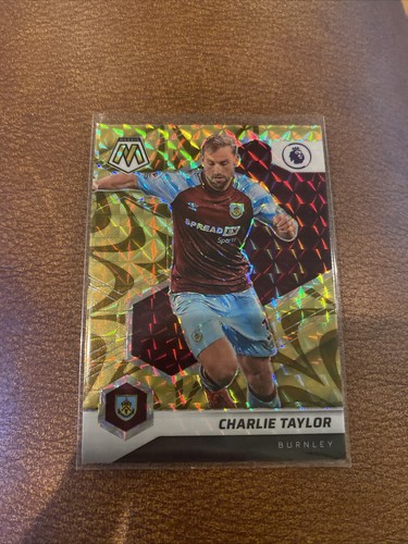2021 mosaic epl charlie - mosaic,