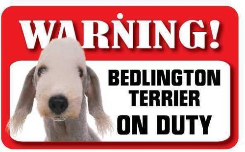 Bedlington terrier sign - bedlington,