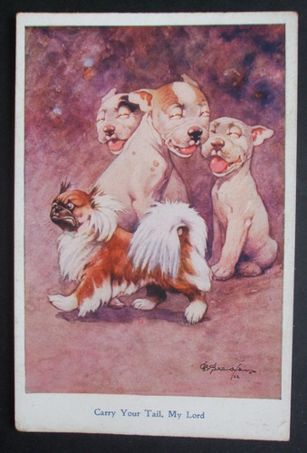 Studdy comic dogs laugh - dogs,