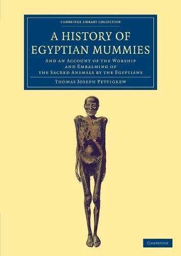 History egyptian mummies - a,