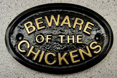Chickens plaque sign - chickens,