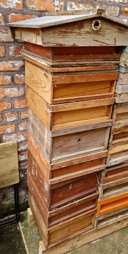 Wbc beehive hive boxes broods - wbc,