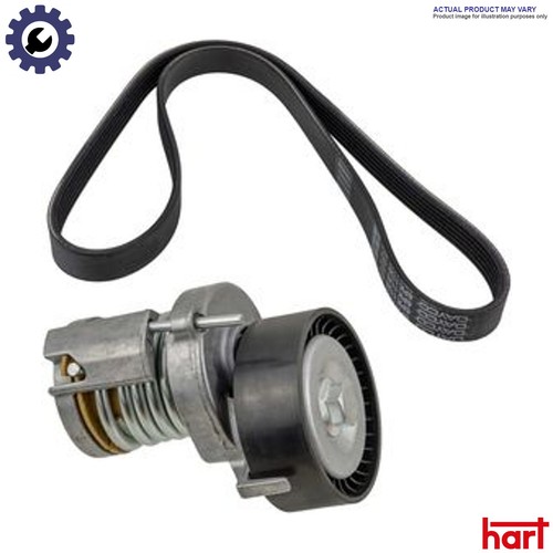 Belt tensioner vribbed - belt,