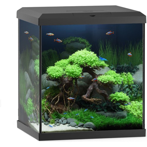 Juwel vio cube 54l aquarium - cube,