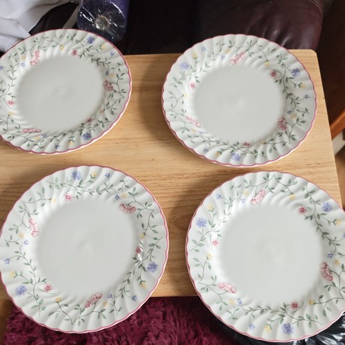 Plates dinner summer chintz - dinner,