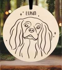Cavalier king charles spaniel - king,