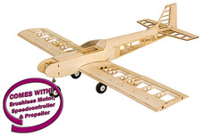 Dancing Wings RC Plane Low