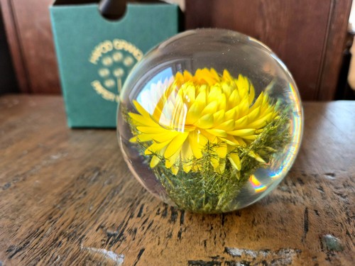 Hafod grange lucite - grange,