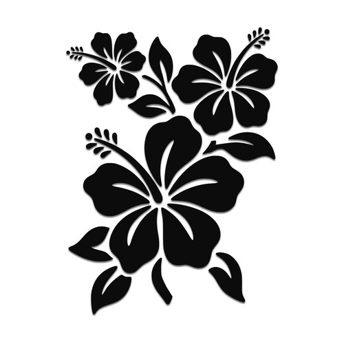 Hibiscus flowers floral - hibiscus,