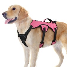 rabbitgoo Escape Proof Dog