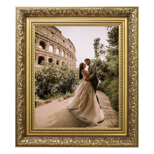Ornate photo frame traditional - ornate,