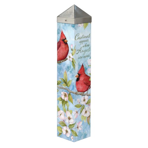 Studio little cardinal - m,