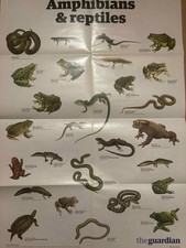 The Guardian Wallchart Poster