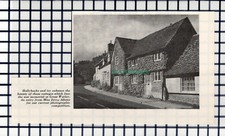 C6644) Great Warley Essex - c.1964 Cutting