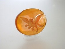 GRYPHON CHIMERA honey amber