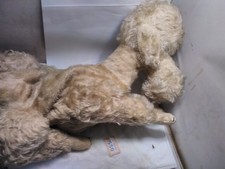 Merrythought poodle pyjama - poodle,