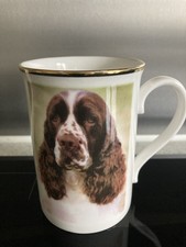Springer Spaniel china mug