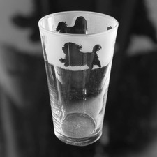 LHASA APSO Frieze Boxed 57cl Conical 1 Pint Glass - Lhasa Apso Gift Idea