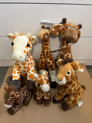 Bundle giraffe soft toy - of,
