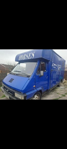 Horse box 5 - horse,