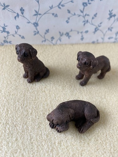 Dolls house labrador - house,