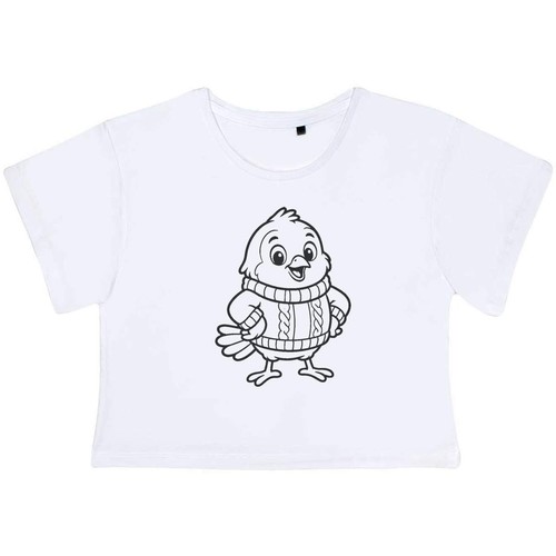 Robin wearing woolly jumper - 'robin,