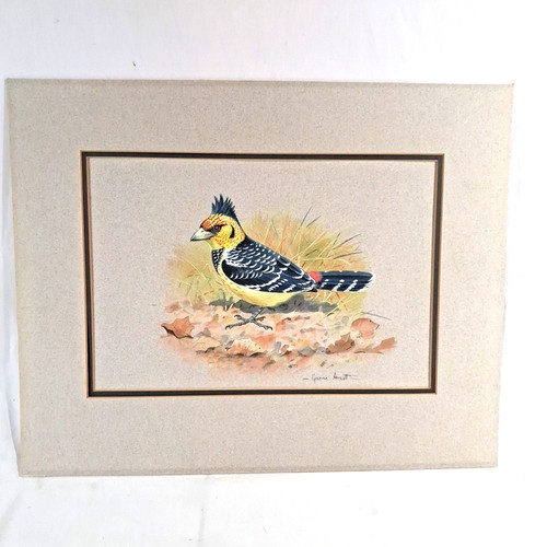 Original graeme arnott - original,