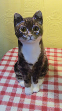 Signed Winstanley cat Size 6
