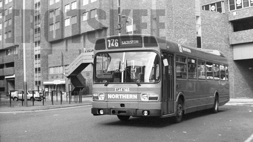 35mm black and white negative - black,