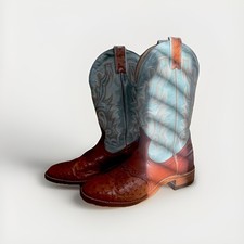 Stunning Ladies Cowgirl Leather & Ostrich Quill Boulet Boots