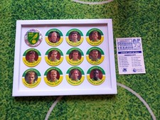 Norwich City Merlin Magicaps 1995 - Full Set, Framed