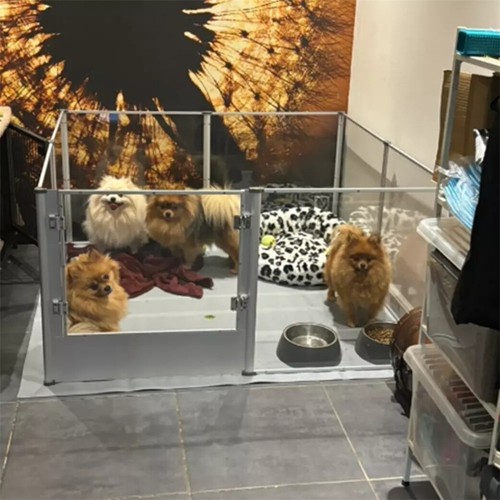Acrylic panel pet playpen - acrylic,