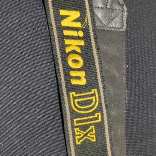 Genuine nikon d1x digital - genuine,