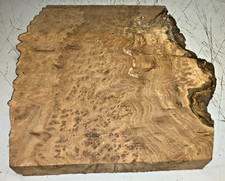 330X38X330MM LOT 637A BURR ELM