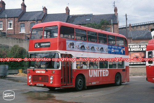 Bus photo united - bus,